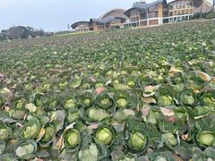 -中国天府农业博览园