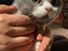 -迎懿餐厅