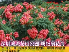 -光明小镇欢乐田园