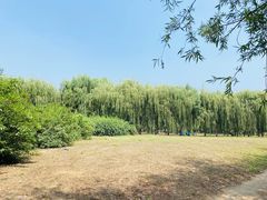 -东坝千亩湖公园