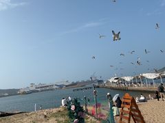 -海驴岛(荣成市)