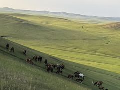 -莫日格勒旅游景区