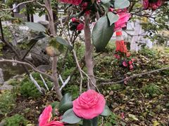-苏州冶园园林民宿(太湖西山风景区店)