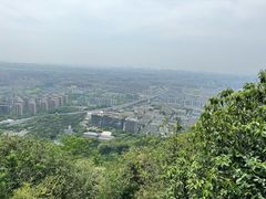 -杭州半山国家森林公园