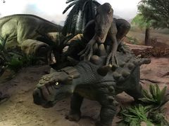 -国家自然博物馆