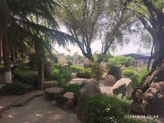-中国唐苑