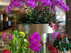 -金悦轩海鲜酒家(拱北店)