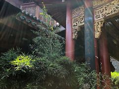 -武汉园博园(武汉自然博物馆)