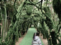 -呀路古热带植物园