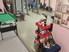 -炼呗运动康复·健身工作室(紫竹桥店)