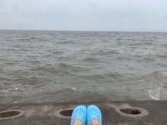 -东疆建设开发纪念公园