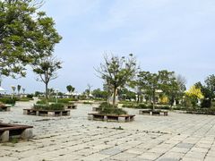 -南大港湿地风景区