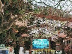 -呀诺达热带雨林