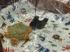 -都恩客(高岛屋百货店)