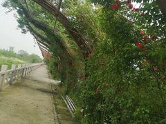 -南通洲际绿博园