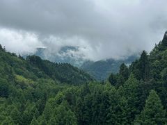 -山王坪喀斯特国家生态公园
