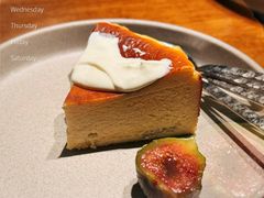 -OTIUM • 柴屿麦(亮马桥店)