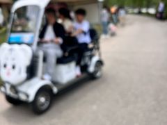 -上海鲜花港