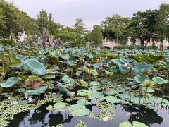 -惠州西湖丰渚园
