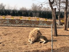 -秦皇岛野生动物园