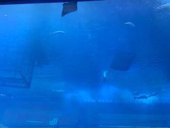 -美吉姆儿童发展中心(芜湖万达广场店)