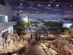-自贡恐龙博物馆