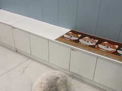 -纳吉亚猫专科动物诊疗中心(蒋宅口分院)