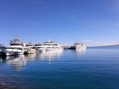 -青海湖国家重点风景名胜区