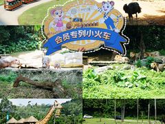 -广州长隆野生动物世界