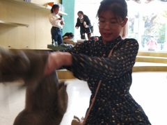 -飞行喵MR PILOT|猫舍·猫咖(静安大融城店)