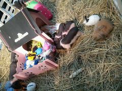 android_upload_pic-万达广场(南京江宁店)