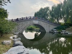 -大兴滨河森林公园