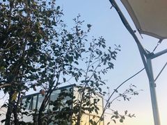 -素心小筑(后沙裕镇店)