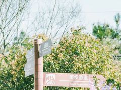 -游子山休闲旅游区