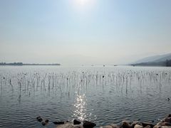 -西昌邛海湿地