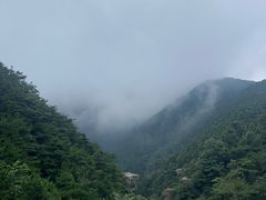-庐山风景区花径公园