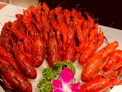 冰镇酒醉小龙虾-红盔甲·小龙虾(天钥桥店)