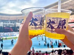 -山西体育中心红灯笼体育场