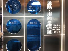 -鱼酷活鱼烤鱼(沈阳大悦城店)