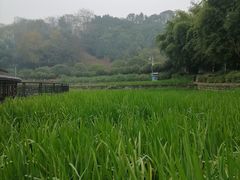 -龙头寺公园