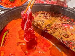 -朱光玉火锅馆(正弘城店)