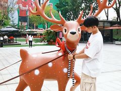 -深圳湾万象城(南山店)