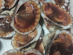 -海胆公主南澳岛美食海鲜
