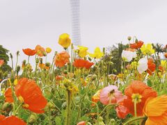 -二沙岛艺术公园