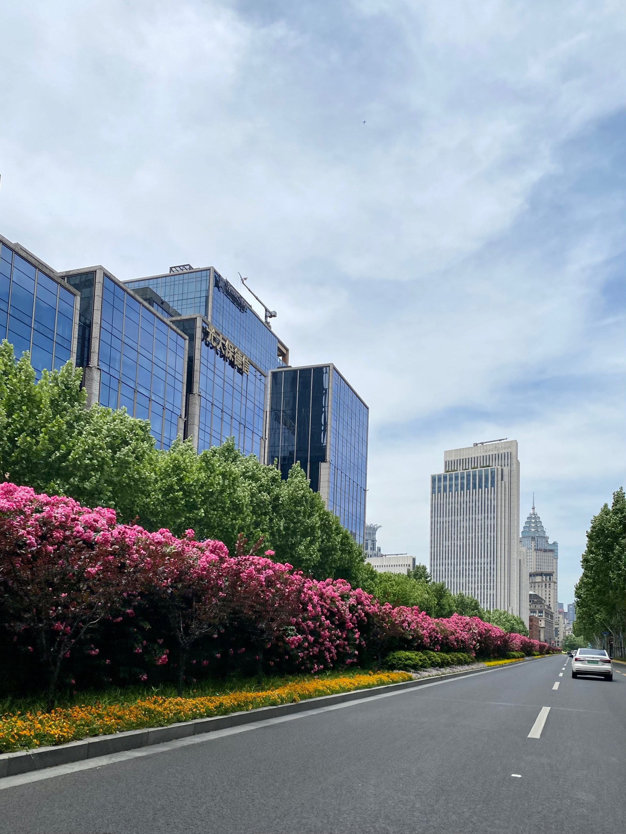 不要错过走这段上海最美最震撼一条街的小段花径