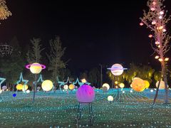 -洋湖国家湿地公园