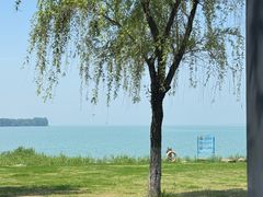 -苏州湾体育公园