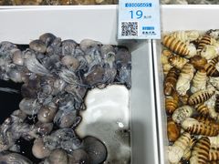 -安东水产海鲜餐厅