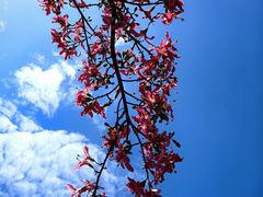 -台山颐和温泉城