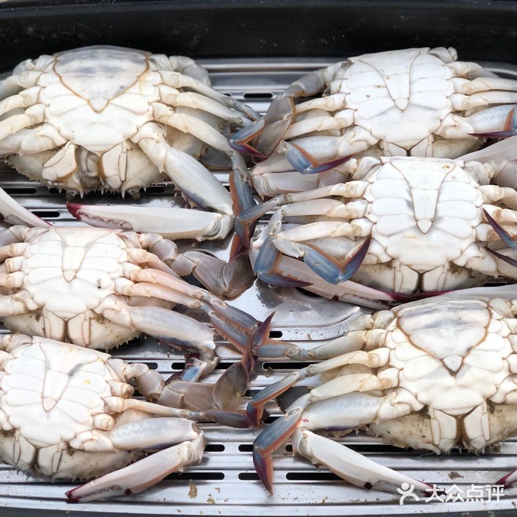 最简单的海鲜吃法之鲜美无比的清蒸螃蟹